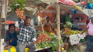 Muzaffarpur Shahi Litchi Arrives in Market: Check Price and Availability