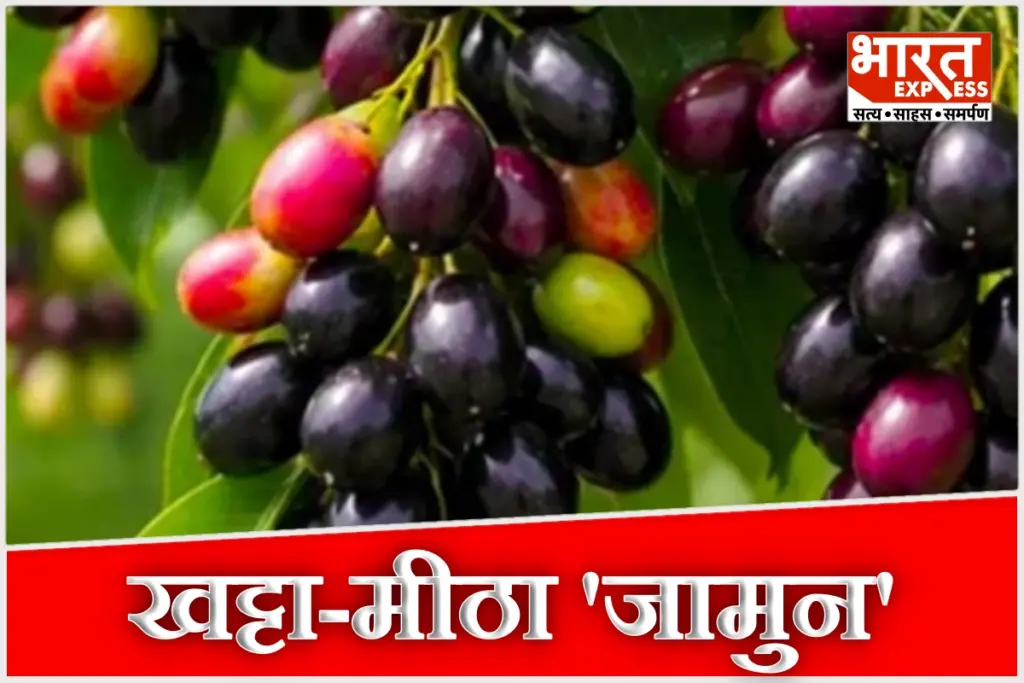 health-benefits-of-jamun-in-summer-diabetes-control-pregnancy-superfood