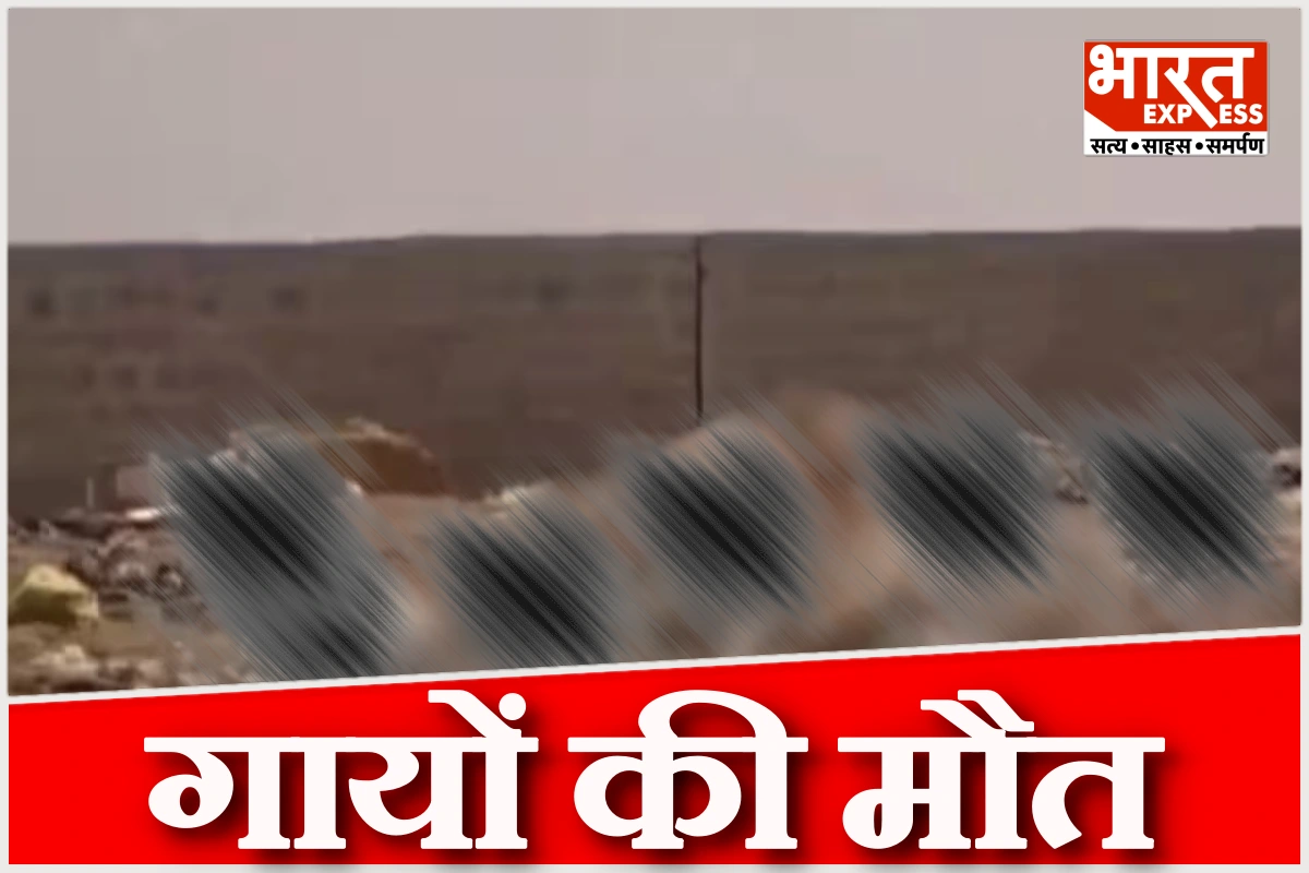 जैसलमेर में शर्मनाक मंजर, डंपिंग यार्ड में 500+ गायों के सड़े शव मिले, प्रशासन ने मांगी रिपोर्ट