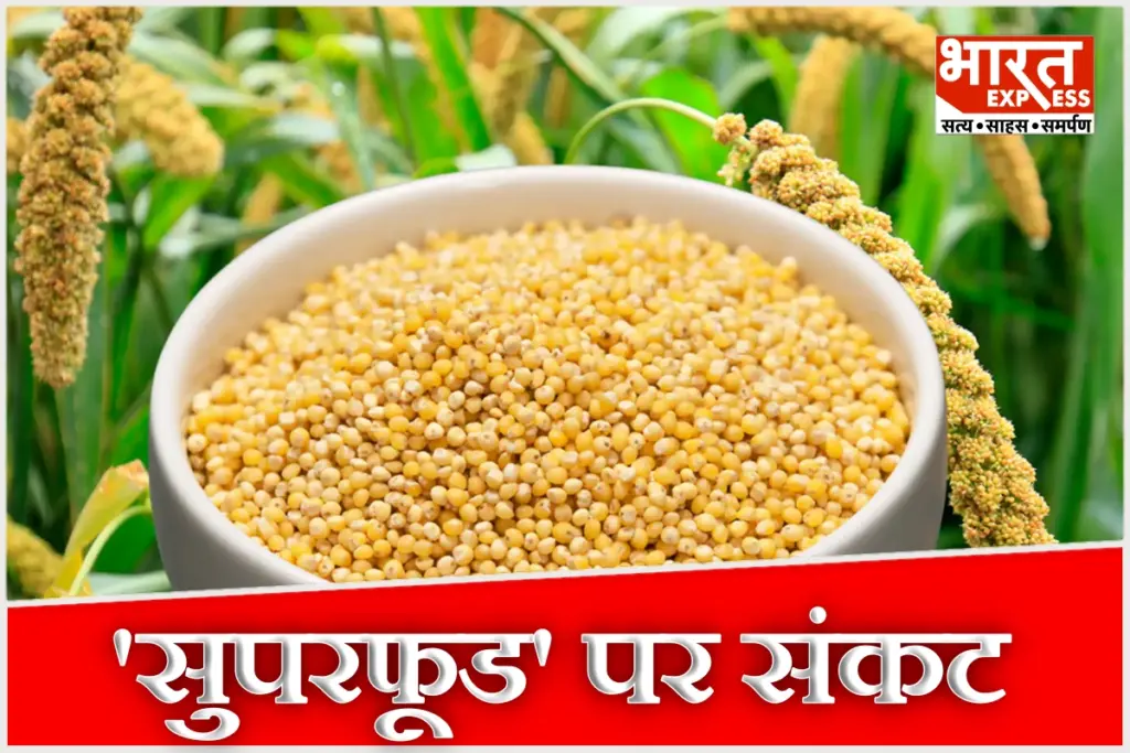 millet-farming-challenges-rising-urban-demand-lack-of-market-msp-tamil-nadu