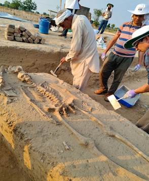 Harappan Civilization DNA Analysis