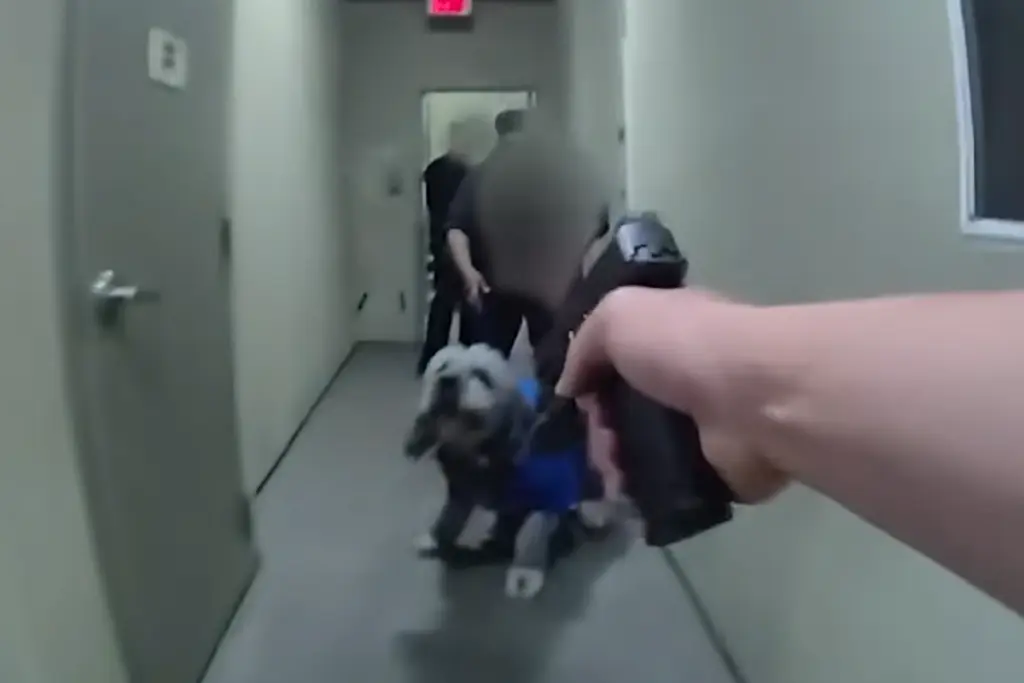 Ajab Gajab US Cop Shoots Dog After Mistaking NBA Celebration For Crime video viral
