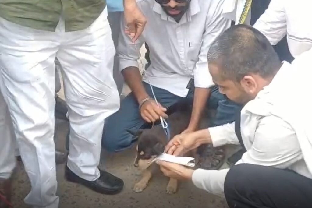 Beohari Congress protest corruption news