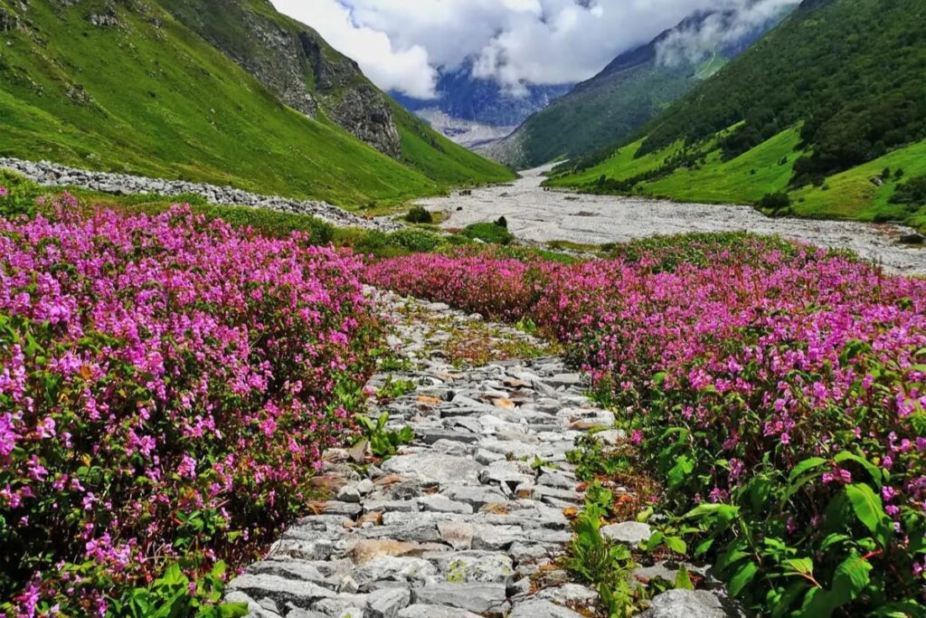 Valley of Flowers Uttarakhand