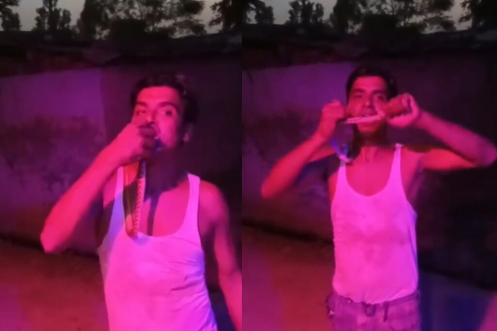 Bijnor snake stunt case