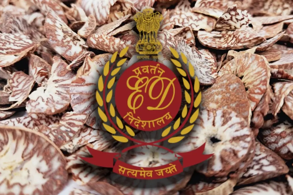 ED Raids In Champhai Mizoram Over Hundreds Of Crores Areca Nut Smuggling