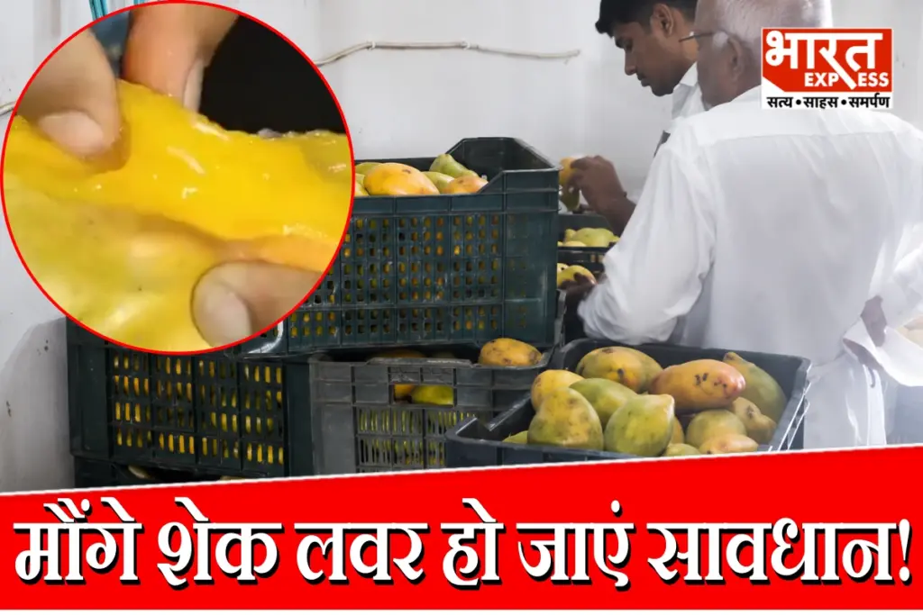 Gujarat News