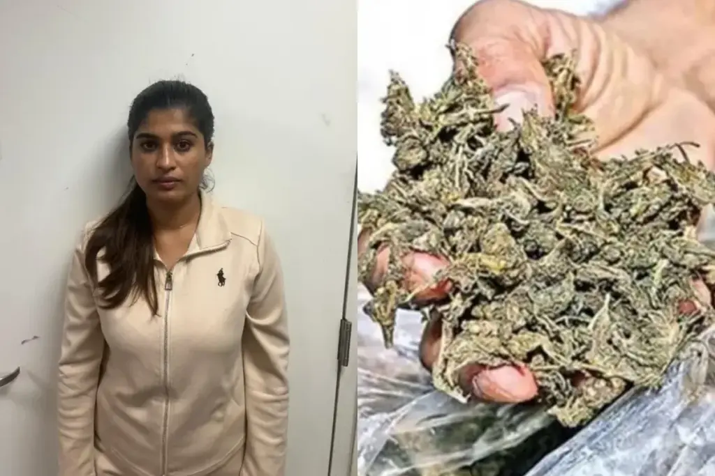 Harsha Sunny, Drug Smuggling Case, Mumbai Airport