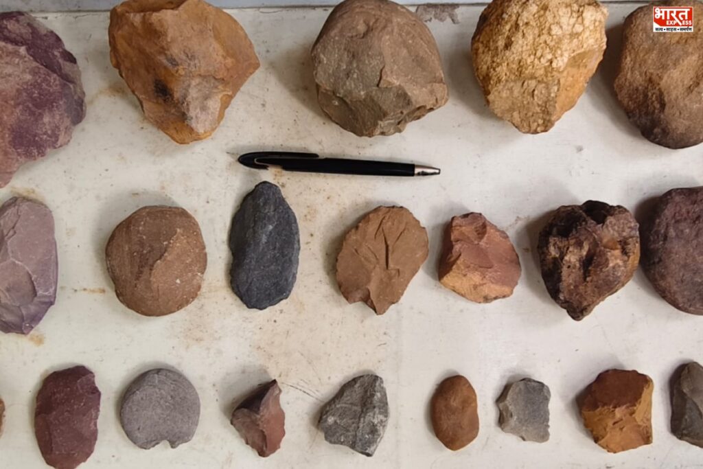 Maharashtra Archaeology image