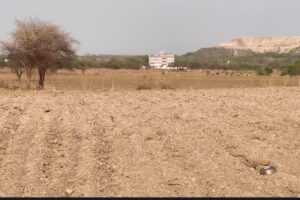 Maharashtra Archaeology (1)