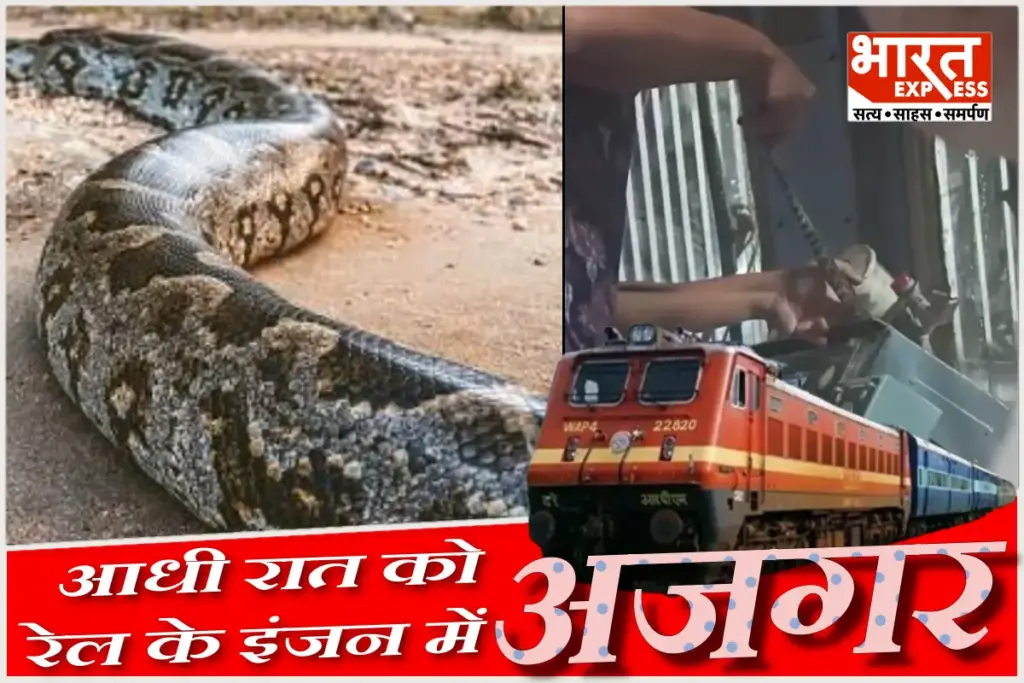 ajgar snake in train engine
