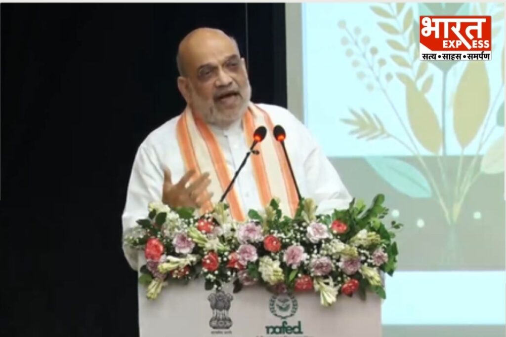 Samvidhan Hatya Diwas Amit Shah