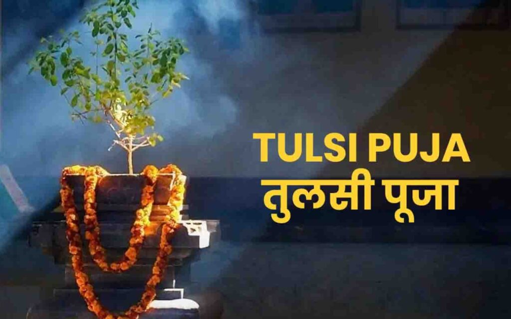 Tulsi Puja Rules