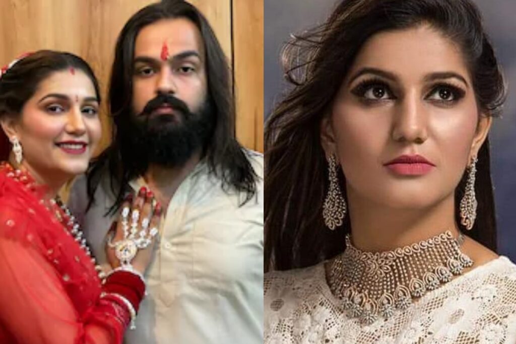 sapna chaudhary instagram story