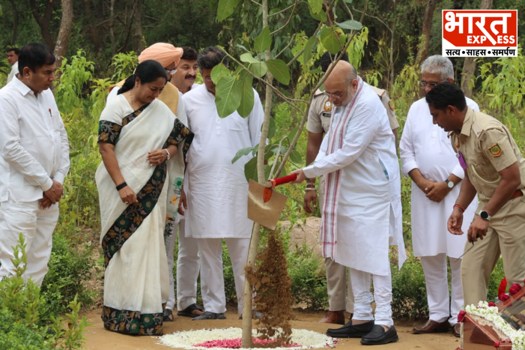 Amit Shah Delhi 70 lakh plantation drive
