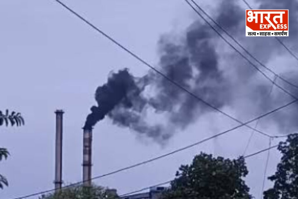 Singrauli Trimula Industries Action