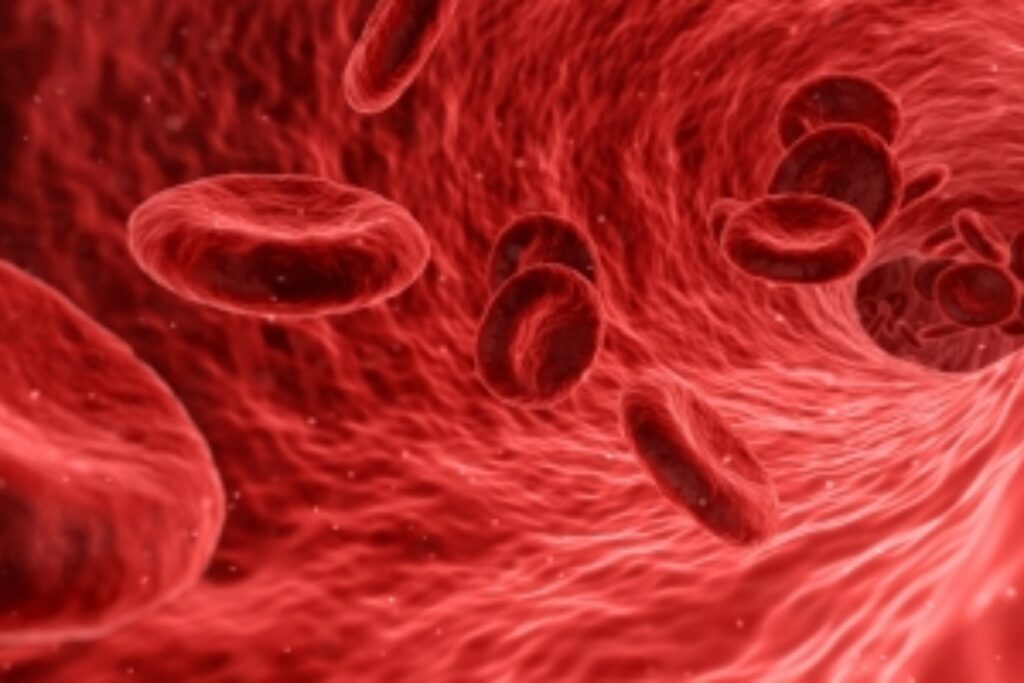 England TB study