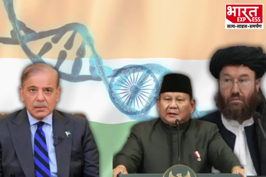 India, Afghanistan, Indonesia