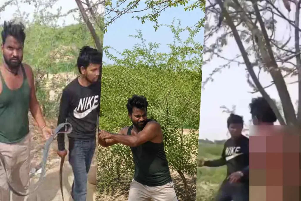 Madhya Pradesh Crime News