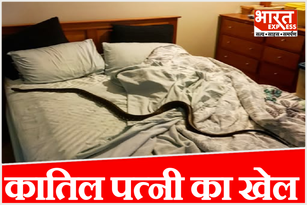 Meerut Snake Bite Murder