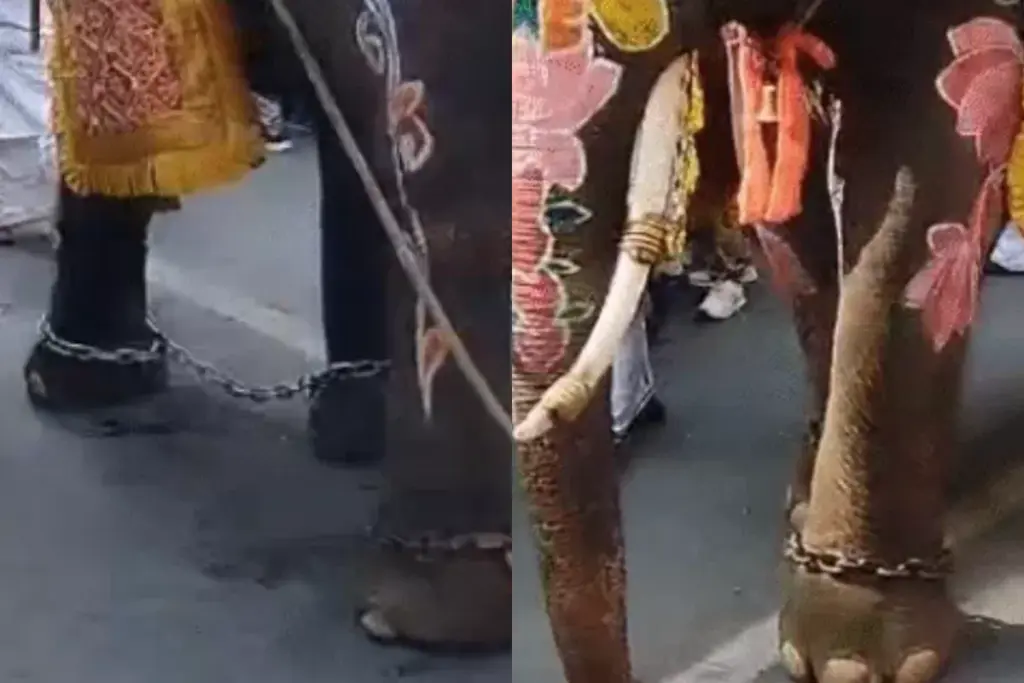 Rath Yatra 2026, Jagannath Rath Yatra, Ahmedabad