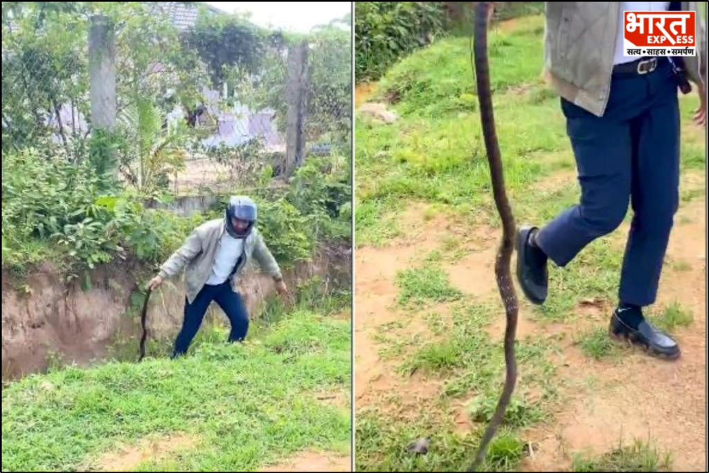 Snake Abuse Viral Video
