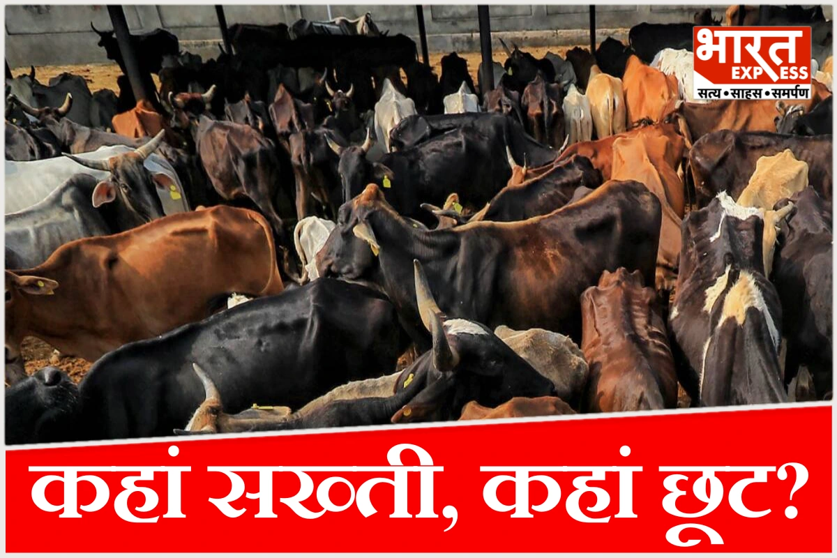 एक देश, अलग कानून; गोहत्या पर किस राज्य में क्या नियम? समझिए पूरा सिस्टम