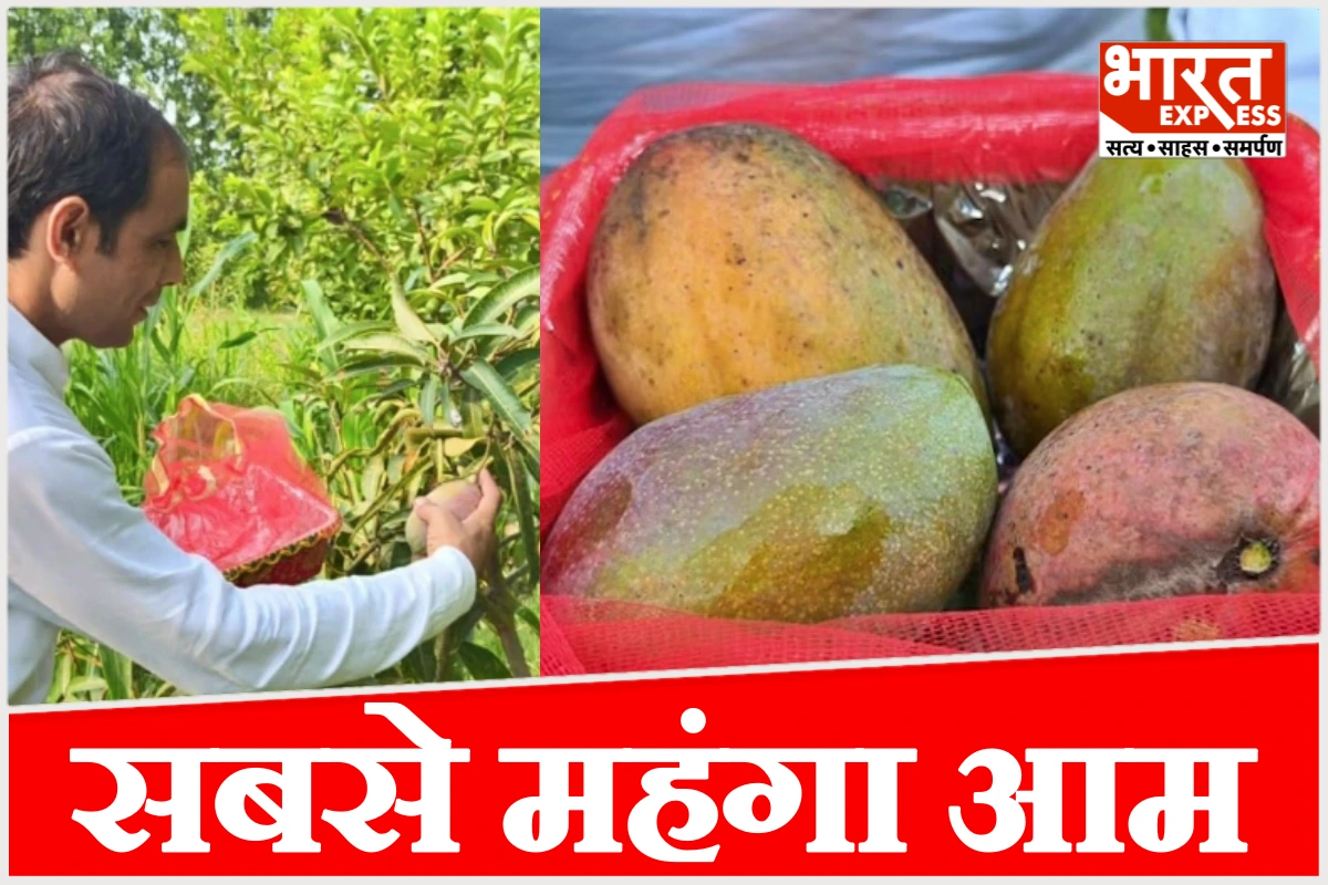 सहारनपुर के किसान ने बेचे सिर्फ 4 आम, कीमत जानकर उड़ जाएंगे होश