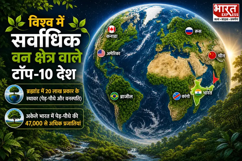 india-9th-largest-forest-area-world