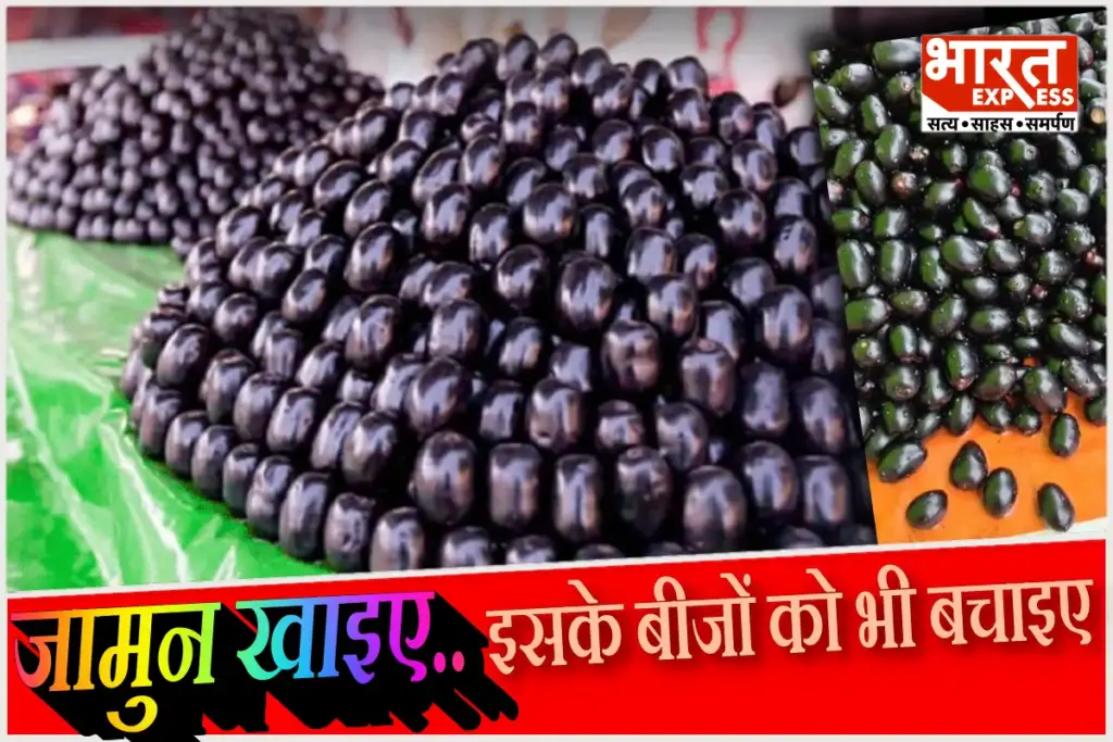 Jamun Seeds Benefits