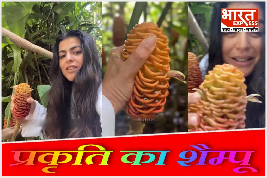 shampoo-ginger-flower-natural-hair-cleanser