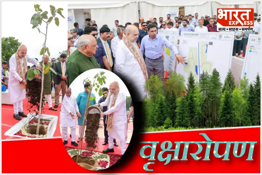 tree plantation amit shah