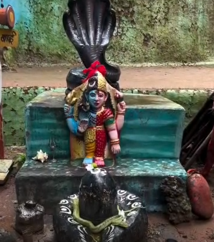 बताया जा रहा है कि यह नाग करीब तीन घंटे तक पूरी तरह से शिवलिंग से लिपटा रहा और अपनी स्वाभाविक गतिविधियां करता नजर आया, जिसे देखकर वहां मौजूद लोग हैरान रह गए. 