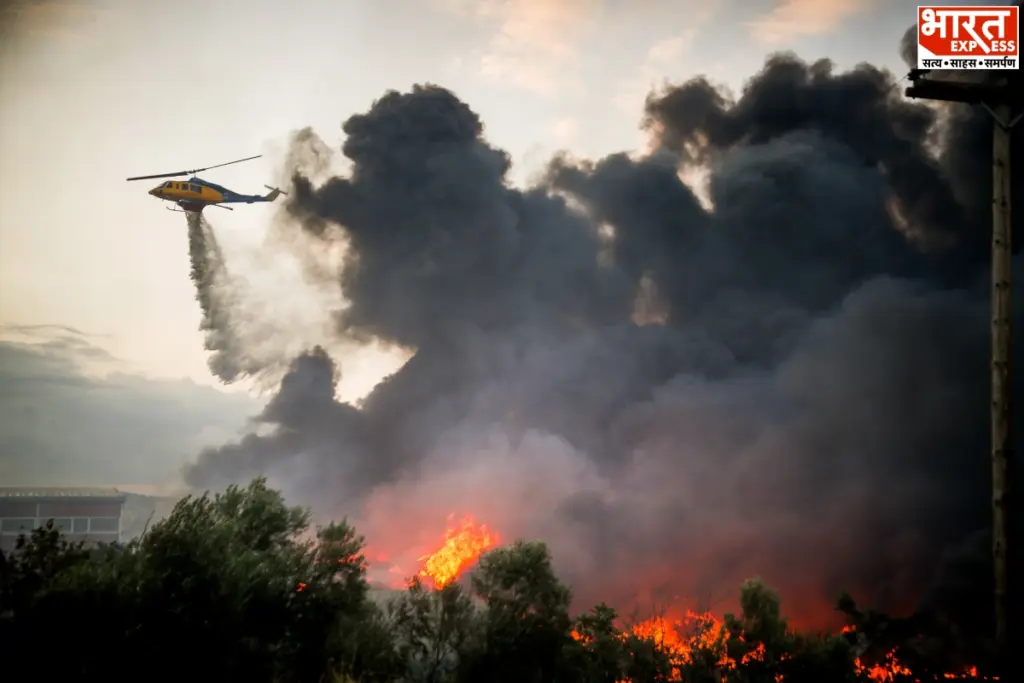 Belgium Forest Fire