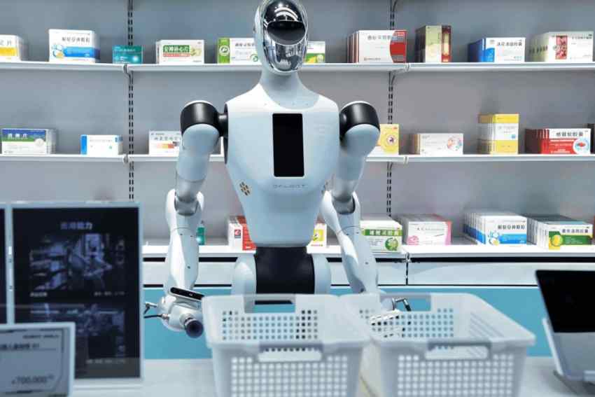 China Humanoid Robotics Market