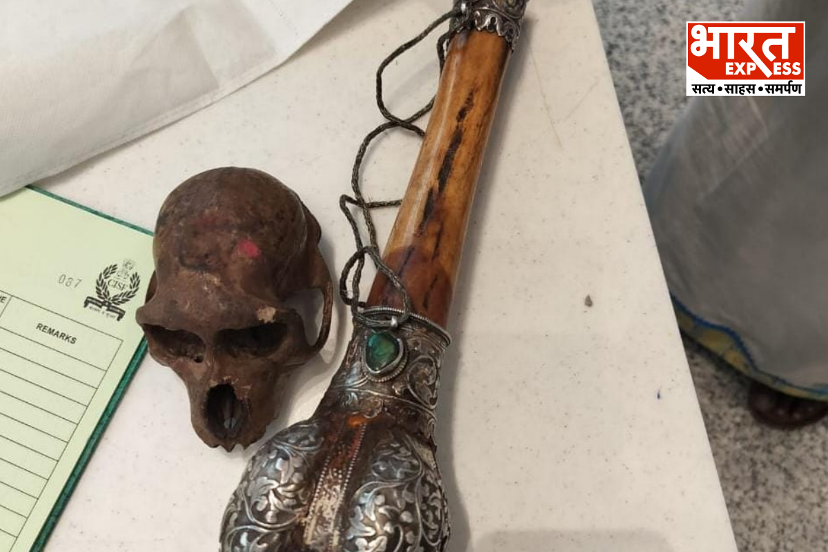 Delhi IGI airport Monkey skull found 