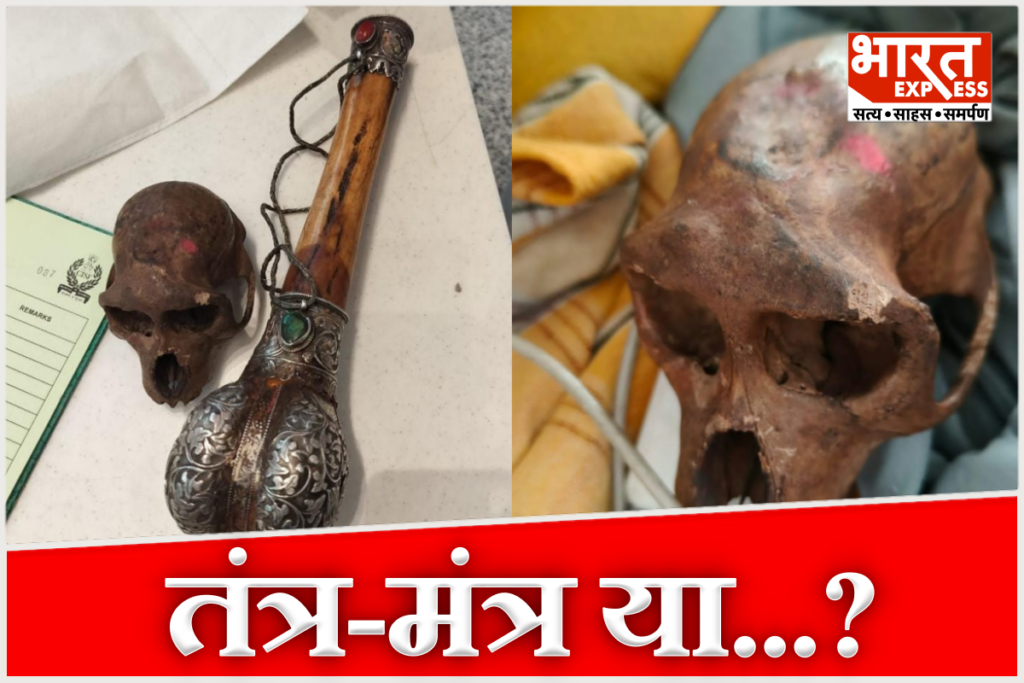 Delhi IGI airport Monkey skull found