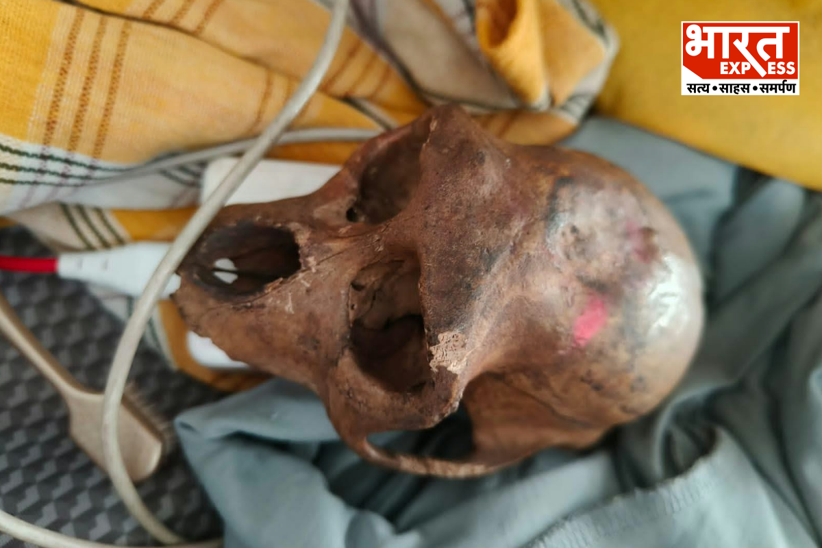 Delhi IGI airport Monkey skull found 