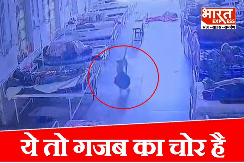 Dog steals bag at Mandsaur district hospital
