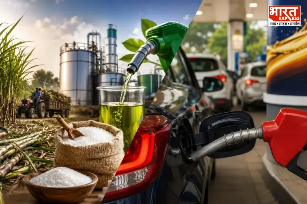 E20 Petrol & Sugar Crisis
