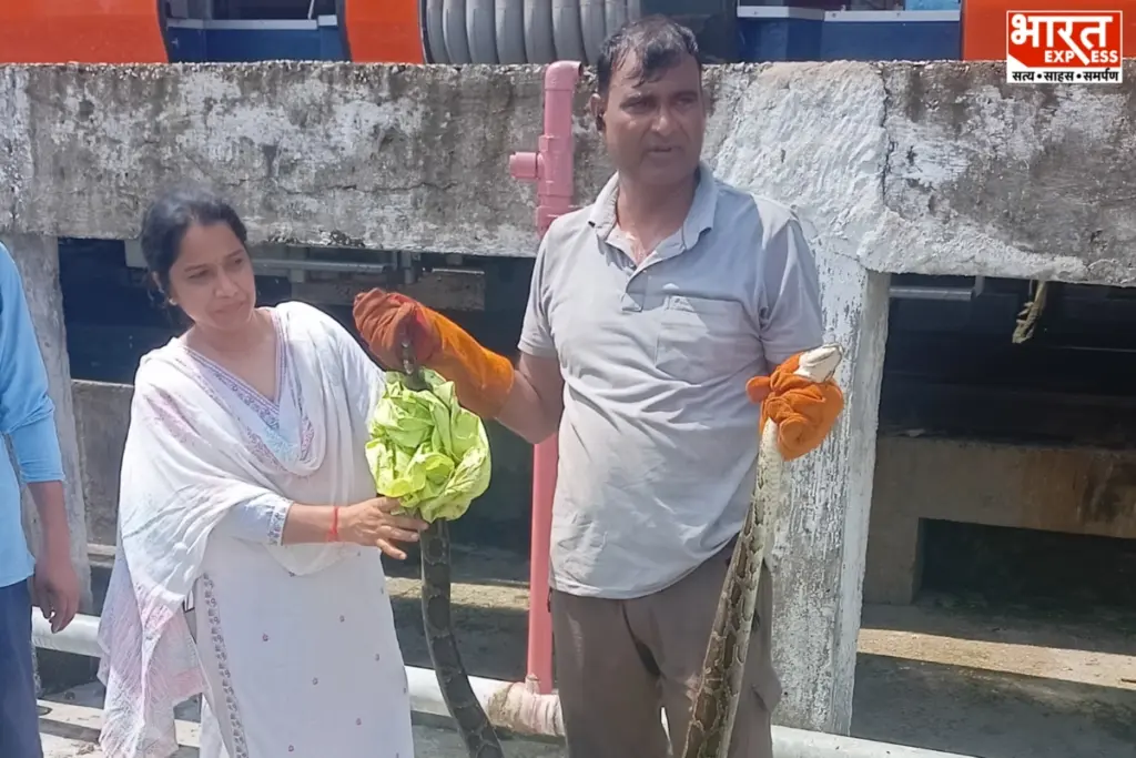 वंदे भारत एक्सप्रेस के निचले हिस्से में फंसा विशालकाय अजगर.