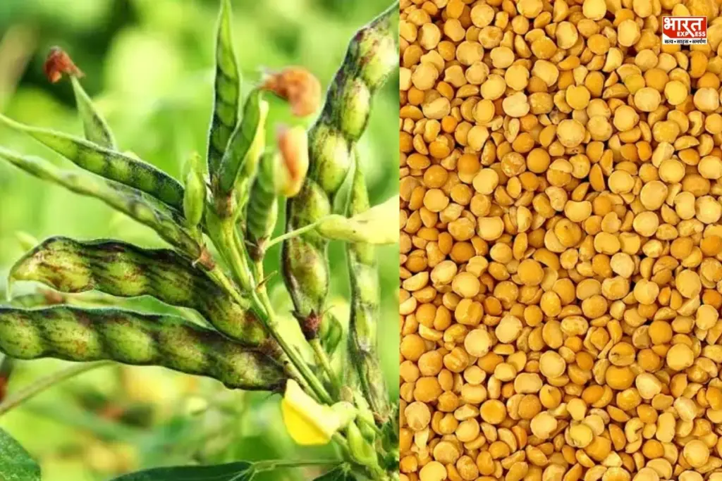 ICAR Genome Breakthrough