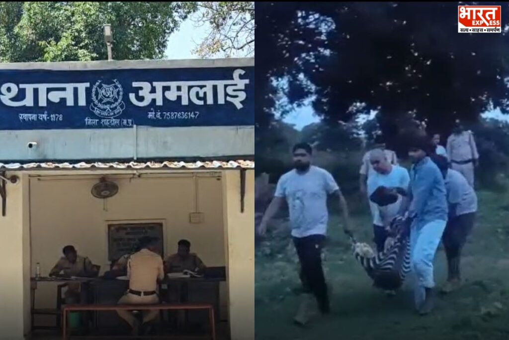 MP Death Case