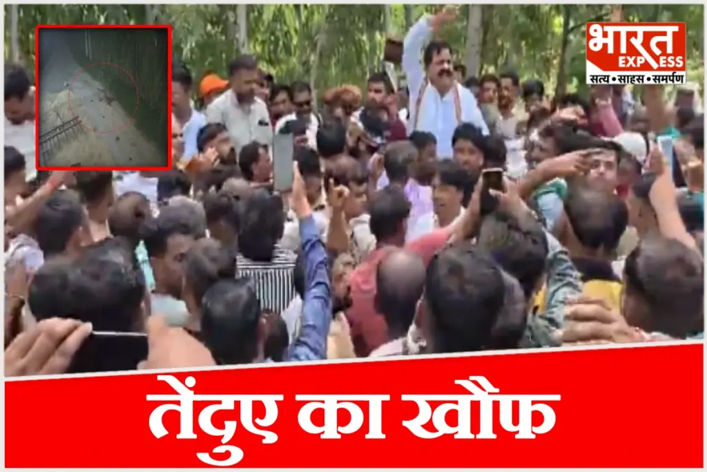 Fear of a leopard in Moradabad
