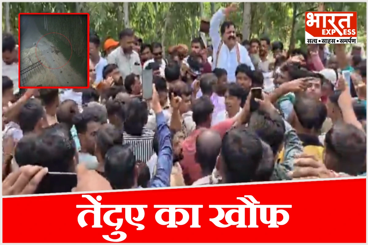 रात में सोया था किसान, सुबह खेत में मिला लहूलुहान शव, मुरादाबाद में तेंदुए का खौफ