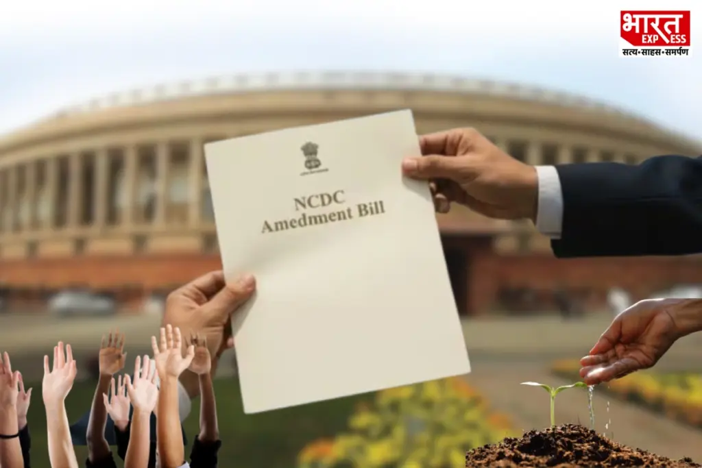NCDC Amendment Bill, Agricultural Loan