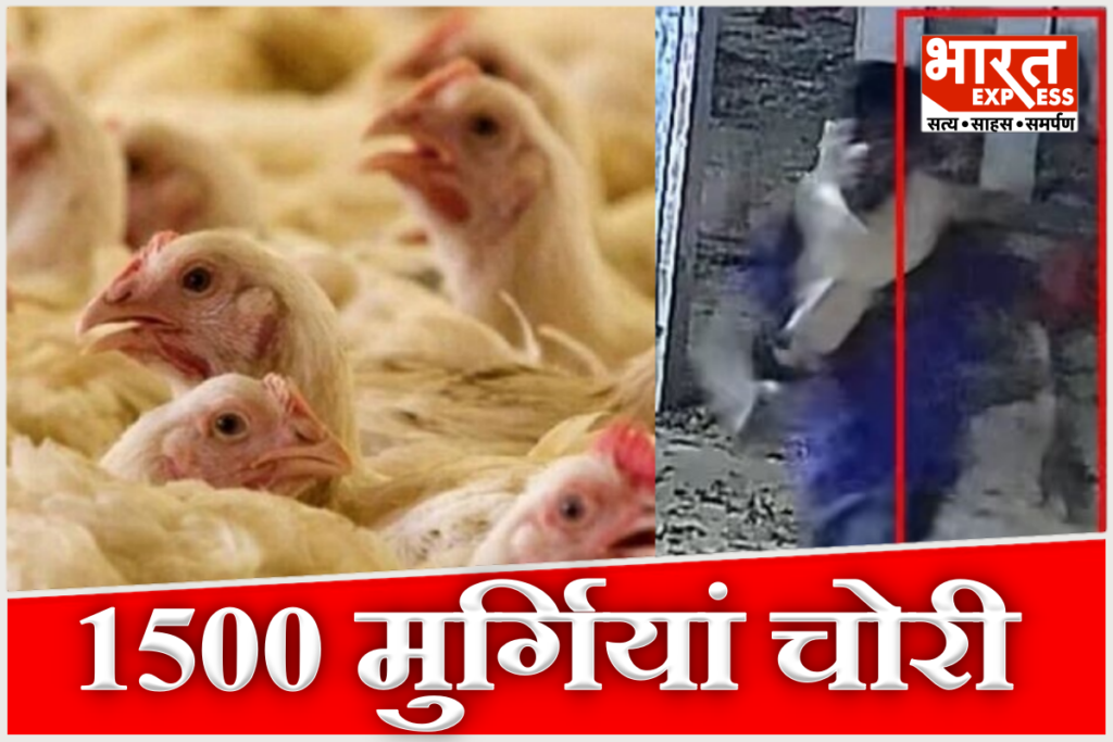 Nawada hen theft