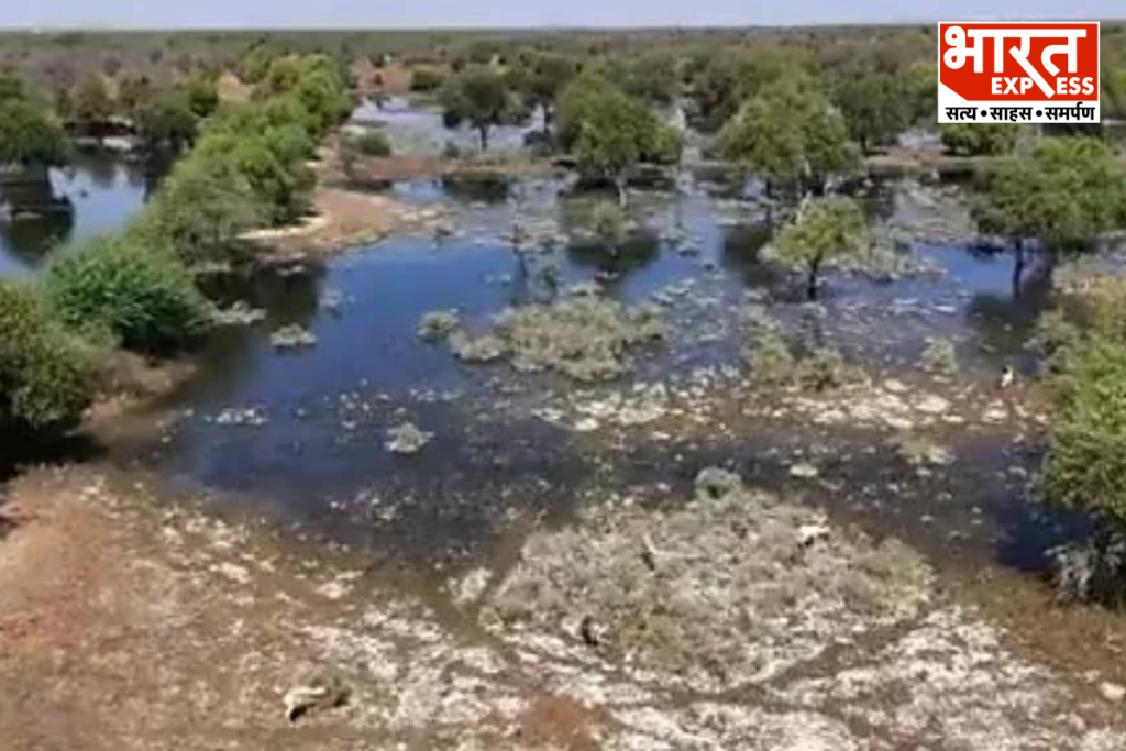 Pollution in Rajasthan Jojari River
