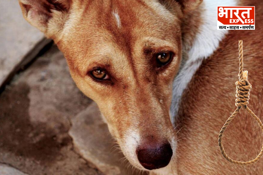 Purnia Dog Death Sentence Case bharat express