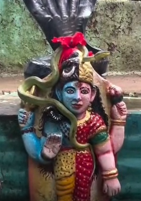 हिंदू मान्यताओं के अनुसार नाग को भगवान शिव का प्रिय आभूषण माना जाता है, इसलिए श्रद्धालुओं ने इस अनोखी घटना को अपनी गहरी आस्था से जोड़कर बेहद शुभ और विशेष माना. 